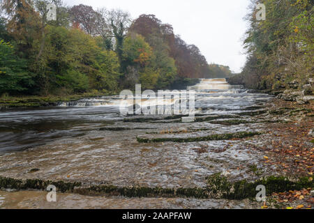 Aysgarth fällt während der frühen Herbst Stockfoto