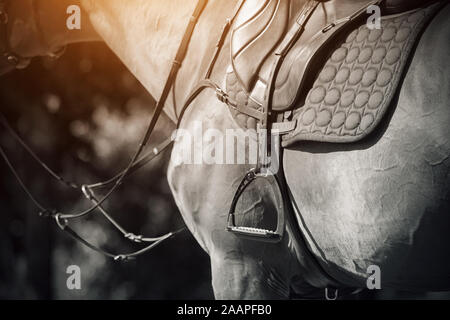 Schwarz-/Weiß-Bild von Pferd Munition - Sättel, Steigbügel, Zaumzeug und Sattel Tuch, auf ein starkes Pferd getragen, durch das Licht der Sonne beleuchtet. Stockfoto