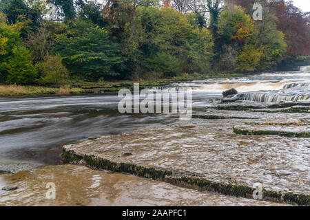 Aysgarth fällt während der frühen Herbst Stockfoto