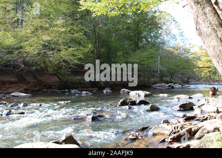 Upstream an der Eno-Fluss, der durch einen Wald in Eno River State Park, North Carolina, USA, mit einer Suspension Bridge im Hintergrund Stockfoto