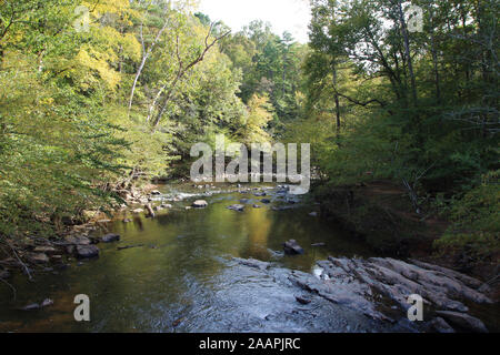 Der ENO-Fluss, der durch einen Wald in Eno River State Park, North Carolina, USA Stockfoto