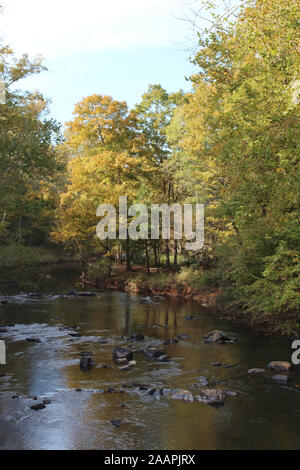 Der ENO-Fluss, der durch einen Wald in Eno River State Park, North Carolina, USA Stockfoto