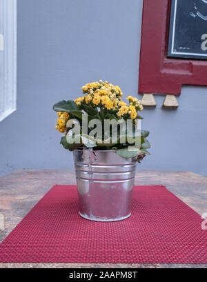 Blume in einem eisernen Topf auf den Tisch rot Serviette Stockfoto