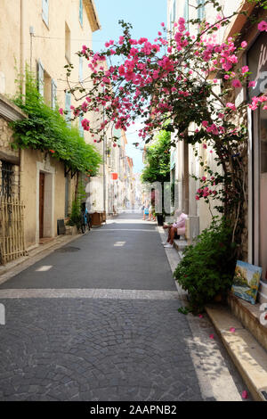 Kleine malerische Straße in der Altstadt von Antibes mit blühenden Blumenbeeten Stockfoto