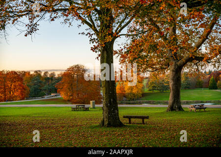 Blenheim Palace Park und Immobilien Grundstück im Herbst. Blenheim Palace, Woodstock, Oxfordshire UK 2019. Stockfoto