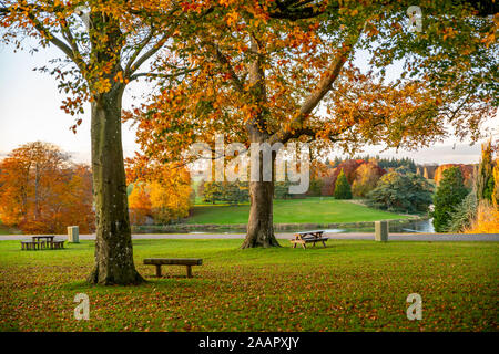 Blenheim Palace Park und Immobilien Grundstück im Herbst. Blenheim Palace, Woodstock, Oxfordshire UK 2019. Stockfoto