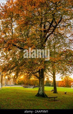 Blenheim Palace Park und Immobilien Grundstück im Herbst. Blenheim Palace, Woodstock, Oxfordshire UK 2019. Stockfoto