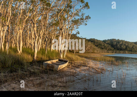 Abgebrochene blechern, Beiboot, Myall Lake NSW Stockfoto