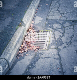 Herbstlaub Verstopfung einen Abfluss im Straße Stockfoto