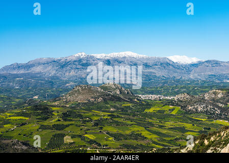 Weinberge, Olivenhaine mit Berg Psiloritis in Th bkaground. Archanes Region ländliche Landschaft in Heraklion, Kreta, Griechenland. Stockfoto