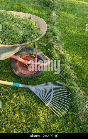 Rechen und Schubkarre mit grünem Gras auf dem Rasen gefüllt. Sommer Stockfoto