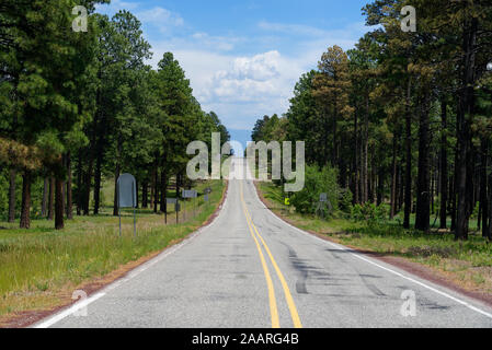 Jemez Mountain Trail National Scenic Byway in der Nähe von Jemez Springs, New Mexico Stockfoto