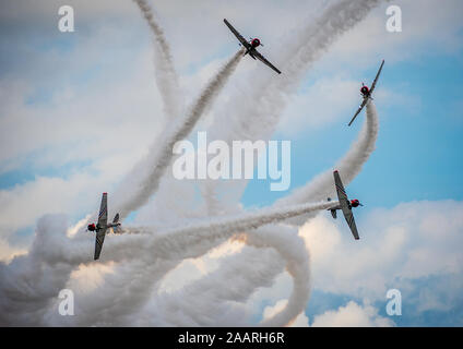 Gieco Skytypers North American T6 Harvard - Geico Skytypers Air Show Team Stockfoto