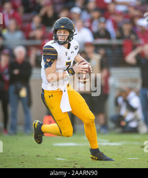 Stanford, Kalifornien, USA. 23 Nov, 2019. Während einer NCAA Football Spiel zwischen den Kalifornien goldenen Bären und der Stanford Kardinal an der Stanford Stadium in Stanford, Kalifornien. Valerie Shoaps/CSM/Alamy leben Nachrichten Stockfoto