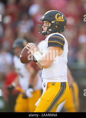 Stanford, Kalifornien, USA. 23 Nov, 2019. Während einer NCAA Football Spiel zwischen den Kalifornien goldenen Bären und der Stanford Kardinal an der Stanford Stadium in Stanford, Kalifornien. Valerie Shoaps/CSM/Alamy leben Nachrichten Stockfoto