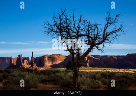 Hinter dem Curling Zweige eines toten Wacholder sind zahlreiche Klippen und dünne Türme aus Sandstein im Monument Valley, Arizona. Stockfoto