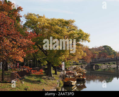 Ein Blick auf das Falllaub in Osaka Castle Park in Osaka, Japan. Stockfoto