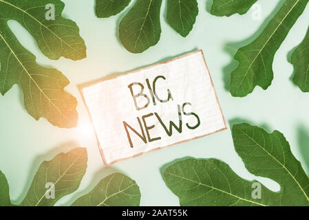Handschrift Text schreiben Big News. Konzeptionelle Foto wissen Aktionen niemand hörte es noch Teleporter Journalist verlässt die umliegenden Briefpapier oben Stockfoto