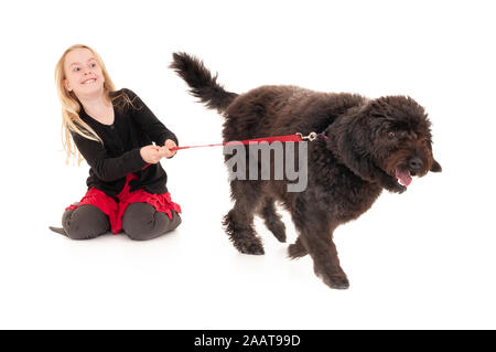 Schwarz labradoodle auf einem roten Leine ziehen glücklich, junge blonde Mädchen zusammen. Auf weissem studio Hintergrund isoliert Stockfoto