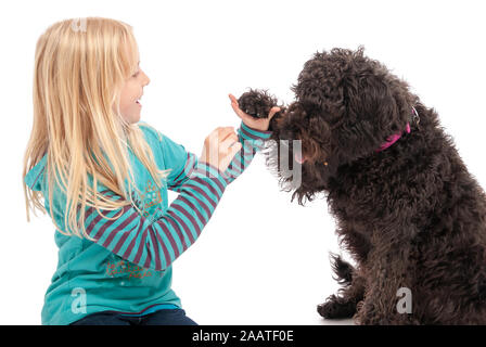 Junge Mädchen und eine schwarze Labradoodle, Hände auf ein weißes studio Hintergrund Stockfoto