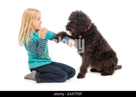 Schwarz labradoodle betteln junge blonde Mädchen für eine Behandlung auf einem weißen studio Hintergrund Stockfoto