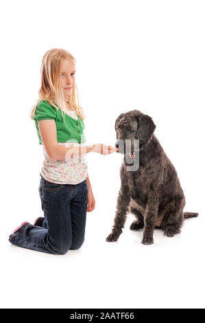 Hübsche kleine blonde Mädchen kniend mit Labradoodle auf einem weißen studio Hintergrund Stockfoto