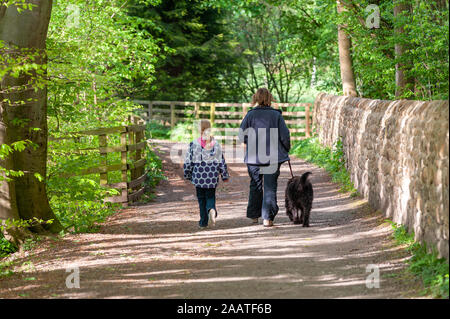 Kleine Mädchen und ihre Mutter gehen Hund entlang einer von Bäumen gesäumten Anschluss Stockfoto
