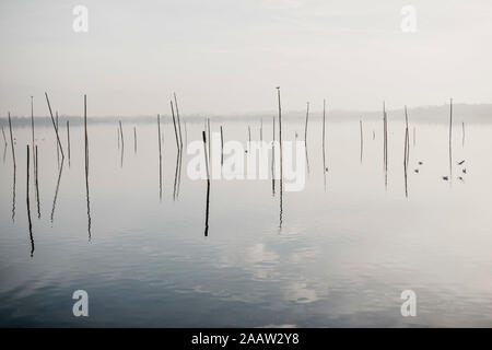 Schweiz, Zürich, Pfffikon, neblige Aussicht auf See Stockfoto