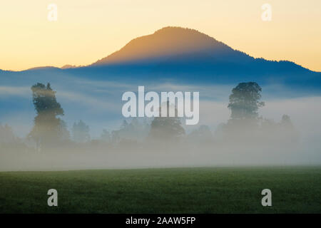 Deutschland, Bayern, Oberbayern, Isarwinkel, Jachenau, Berg und Wald im Nebel bei Sonnenaufgang Stockfoto