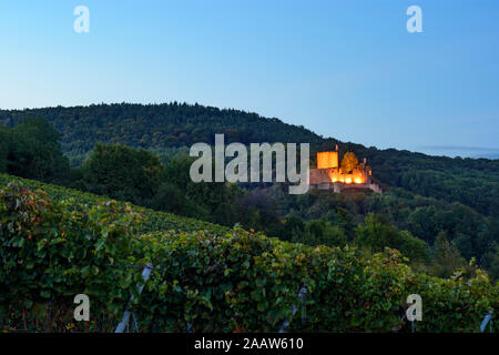 Schloss Landeck, klingenmünster: Weinberg in Weinstraße, Deutsche Weinstraße, Rheinland-Pfalz, Rheinland-Pfalz, Deutschland Stockfoto