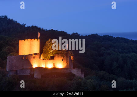 Schloss Landeck, klingenmünster: Weinberg in Weinstraße, Deutsche Weinstraße, Rheinland-Pfalz, Rheinland-Pfalz, Deutschland Stockfoto