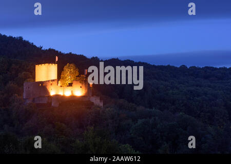 Schloss Landeck, klingenmünster: Weinberg in Weinstraße, Deutsche Weinstraße, Rheinland-Pfalz, Rheinland-Pfalz, Deutschland Stockfoto