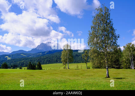 Malerischer Blick auf den Buckel wiesen gegen Himmel bei Mittenwald, Werdenfelser Land, Oberbayern, Bayern, Deutschland Stockfoto