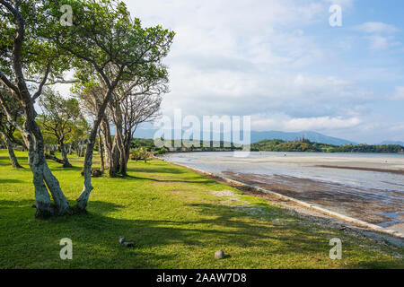 Malerischer Blick auf Bäume am Strand gegen bewölkter Himmel, Noumea, Neukaledonien wachsende Stockfoto