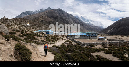 Frau wandern in Dinboche, Himalaja, Solo Khumbu, Nepal Stockfoto