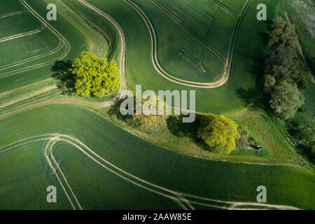 Deutschland, Mecklenburg-Vorpommern, Luftaufnahme von grünen Weiten Weizenfeldern im Frühjahr Stockfoto