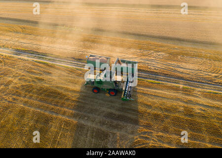 Luftbild des Mähdreschers auf landwirtschaftlichen Feld bei Sonnenuntergang Stockfoto