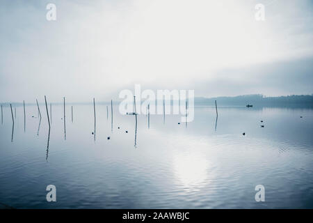 Schweiz, Zürich, Pfffikon, neblige Aussicht auf See Stockfoto