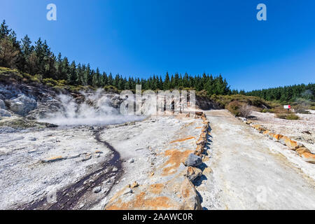 Hell's Gate, Geothermie Park, Tikitere, Rotorua, North Island, Neuseeland Stockfoto