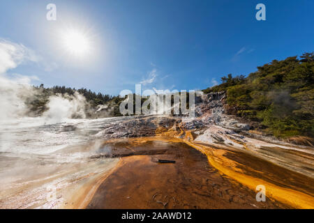 Hot Springs Algen und Terracettes und Smaragd Orakei Korako Geothermie Terrasse, Park, Taupo Volcanic Zone, North Island, Neuseeland Stockfoto