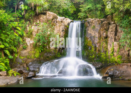 Neuseeland, Nordinsel, Waikato, Waiau, malerische Aussicht auf den Wasserfall Stockfoto