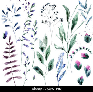 Aquarellblätter eingestellt. Bunte lila florale Sammlung mit Blättern und Blumen, Zeichnung Aquarell. Feder Illustration isoliert Clip Art. Satz von Stockfoto