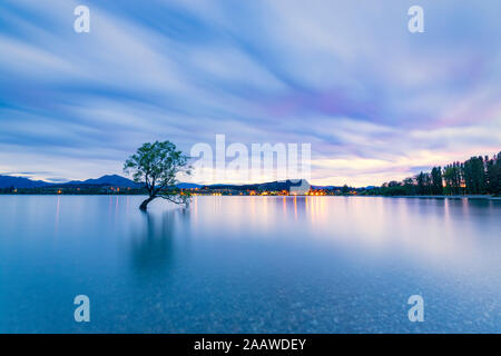 Einsamer Baum von Lake Wanaka gegen bewölkter Himmel bei Dämmerung, Südinsel, Neuseeland Stockfoto