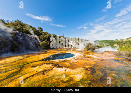 Karte von Afrika und Rainbow Terrace, Orakei Korako geothermischen Park, Taupo Volcanic Zone, North Island, Neuseeland Stockfoto