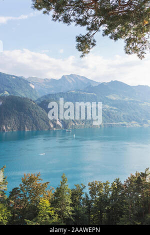 Schweiz, Gersau, Schwyz, malerischer Blick auf den See Luzern im Sommer Stockfoto