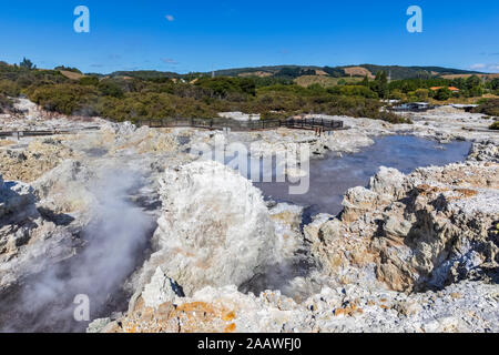 Hell's Gate, Geothermie Park, Tikitere, Rotorua, North Island, Neuseeland Stockfoto