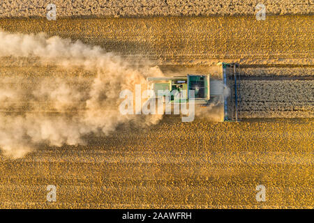 Luftbild des Mähdreschers auf landwirtschaftlichen Feld bei Sonnenuntergang Stockfoto