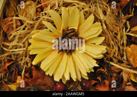 Schöne hand aus Blüten, Blätter, Blumen Dekoration Nahaufnahme Stockfoto