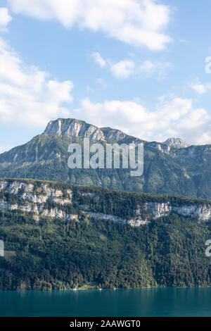 Schweiz, Gersau, Schwyz, malerischen Blick auf hohen bewaldeten Klippe im Sommer Stockfoto