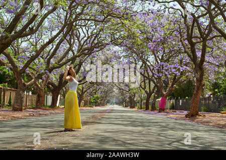 Frau mit Hut, in der Mitte einer Straße voller Jacaranda Bäume in Blüte, Pretoria, Südafrika Stockfoto